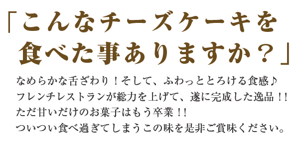 生レアチーズケーキ～神楽坂スイーツ～