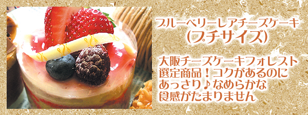 ブルーベリーレアチーズケーキ（プチサイズ）～厳選スイーツ～