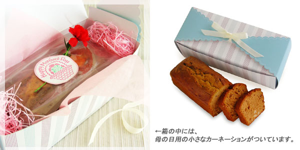 塩キャラメル～ステラおばさんのクッキー～