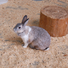 DSC_0037-3.jpg