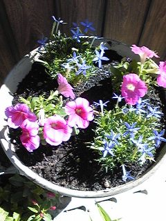 100527_083745_ed.jpg