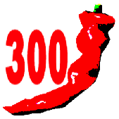 300