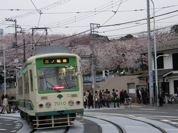 2009_0404都電と桜.JPG