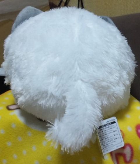 ネムねこ・後ろ