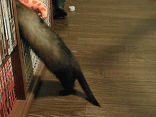 日記\フィリス43