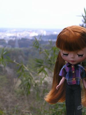 高いところでした。