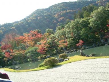 天龍寺の庭園３(嵐山)