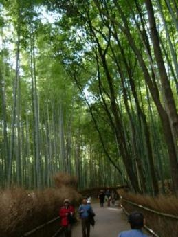 竹林の道（嵐山）