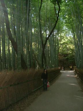 竹林の道２（嵐山）