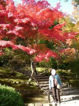 天龍寺　庭園５