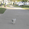 Eddie Beach Walk