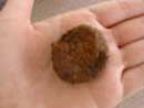Omega Cookie 2