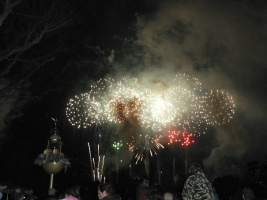 DLR2006