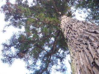 DSCN1201.JPG
