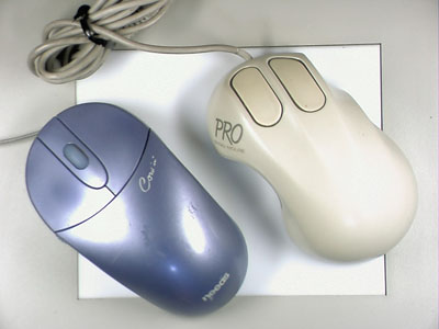 mouse0425.JPG