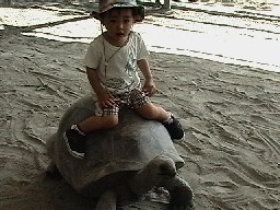 2005-10-18 22:14:35