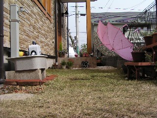 芝張り１年後 (4/13(Thu))