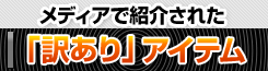 訳あり　レスポート　サック