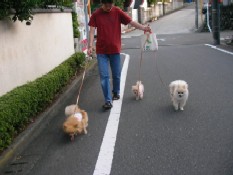 ういんく 006.jpg