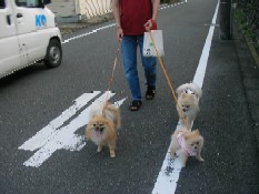 ういんく 007.jpg