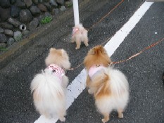 ういんく 008.jpg