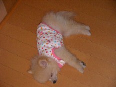 ういんく 002.jpg