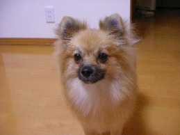 ちょっと迷惑だったわ・・・・