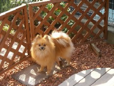 ういんく 057.jpg