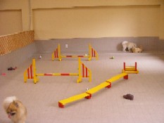 7室内ラン2.jpg