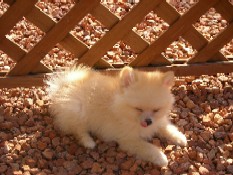 ういんく 060.jpg