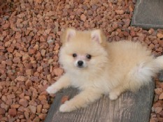 ういんく 061.jpg