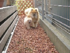 ういんく 062.jpg