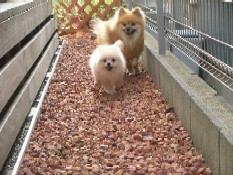 ういんく 063.jpg