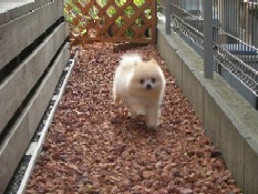 ういんく 066.jpg