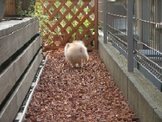 ういんく 065.jpg