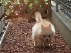 ういんく 064.jpg