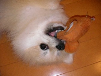 ういんく 056.jpg