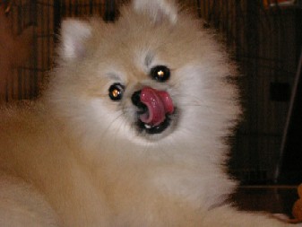 ういんく 059.jpg