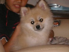 ういんく 049.jpg