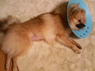 もうだいぶいいのよ~♪