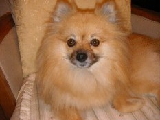 ういんく 050.jpg