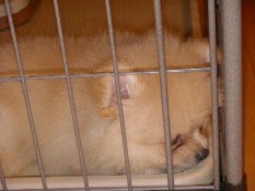 ういんく 051.jpg