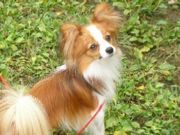 ロッキー君 きれいだね~