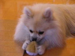 大好きなプル足~(o ̄ー ̄o) ムフフ