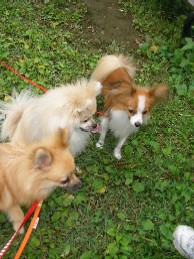 唯一の3ショット