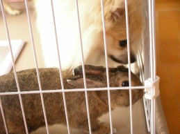 もかたんのお守り中だよ~