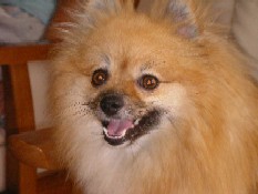 ういんく 006.jpg