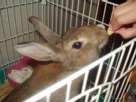 クッキーおいし～い