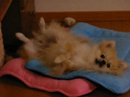 (*゜ロ゜)ハッ!! 撮ったな・・・・