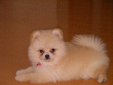 ういんく 016.jpg